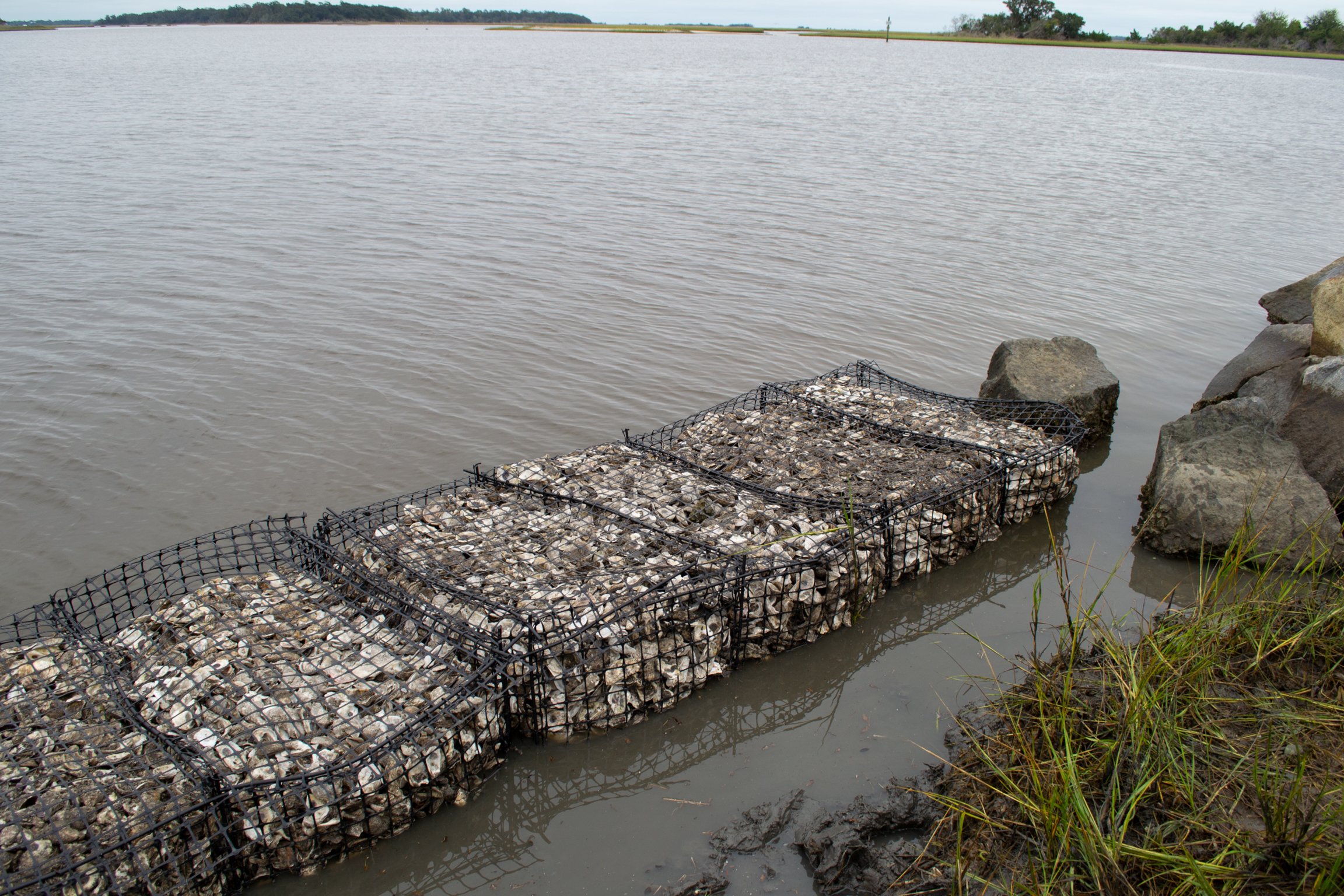 Building Living Shorelines with Oyster Shells